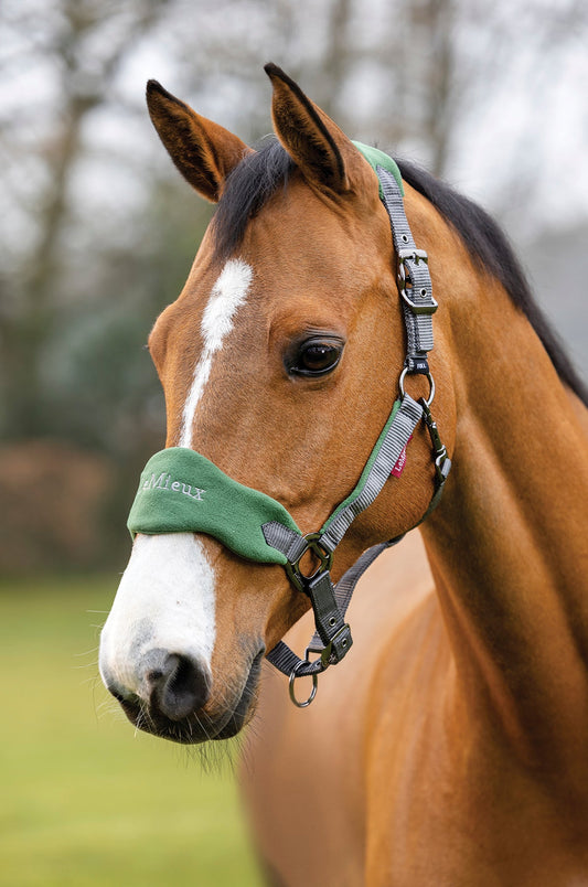 LeMieux Vogue Halter & Rope Lead Set
