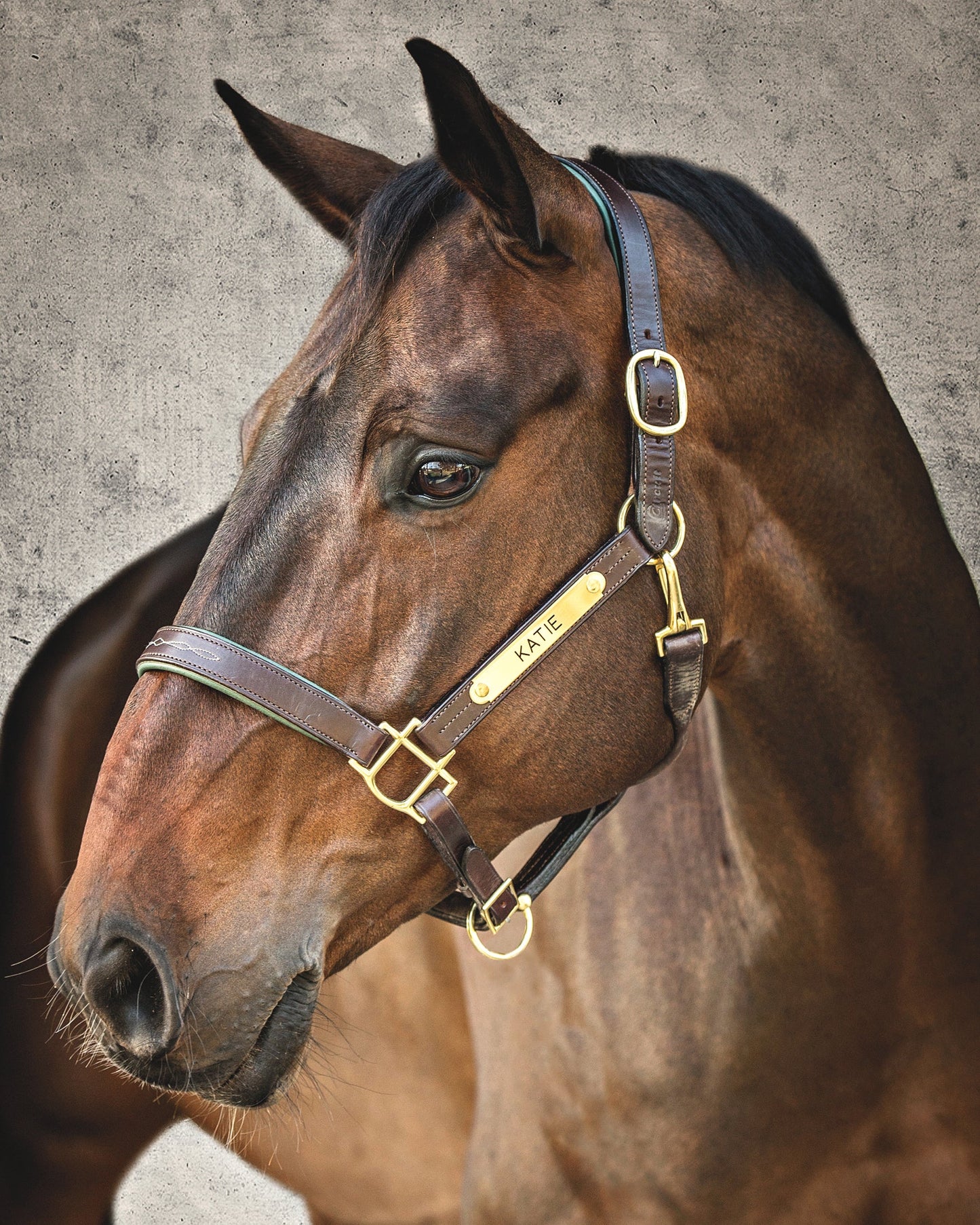 Showmark Classic Fancy-Stitched Leather Halter