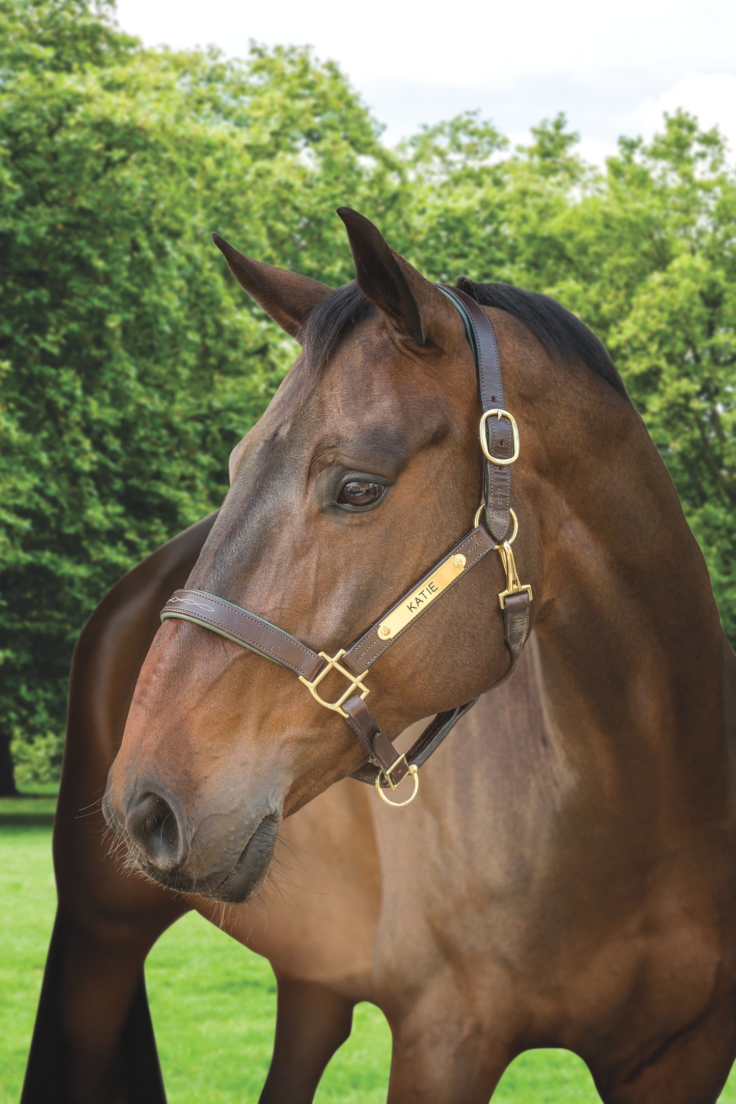 Showmark Classic Fancy-Stitched Leather Halter