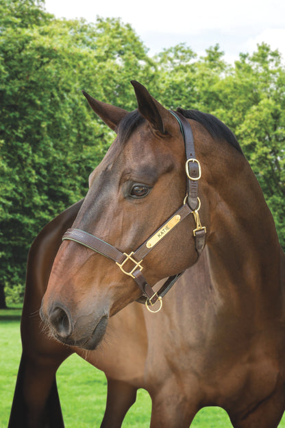 Showmark Classic Fancy-Stitched Leather Halter