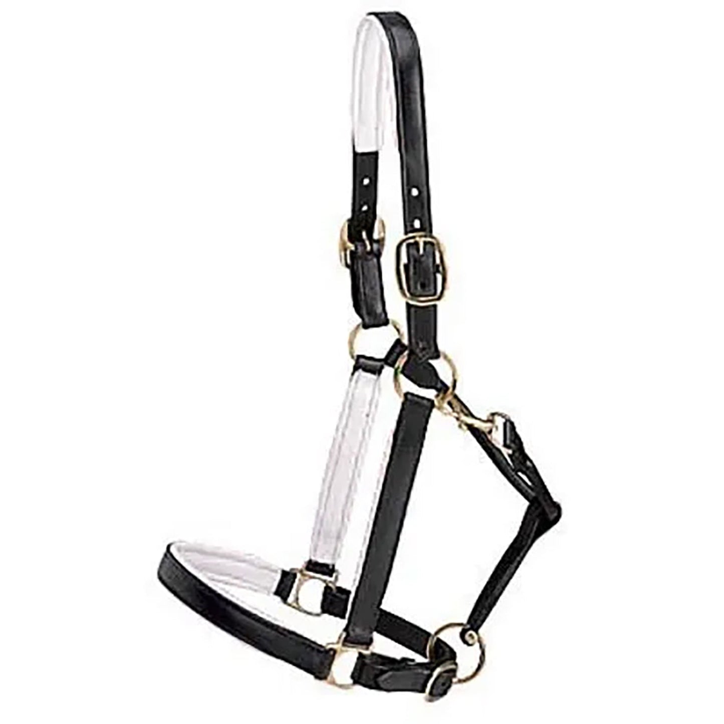 Suffolk Lined Halter