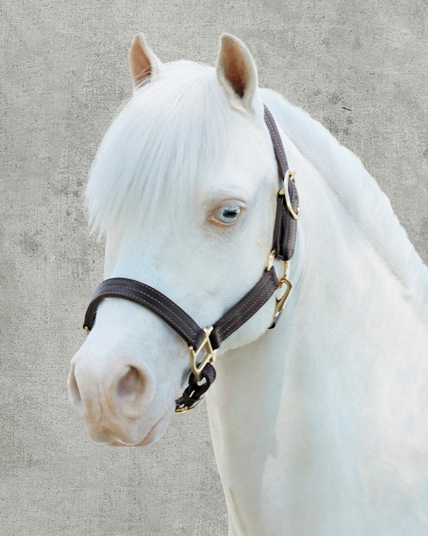 Suffolk Palermo Triple-Stitched Halter