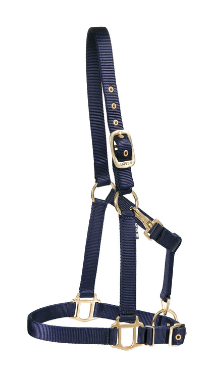 DS Heavy Nylon Halter
