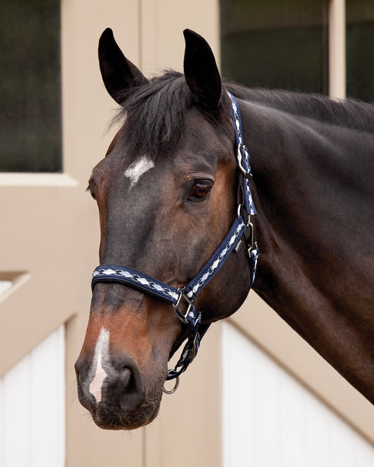 Suffolk Woven Argyle Breakaway Halter