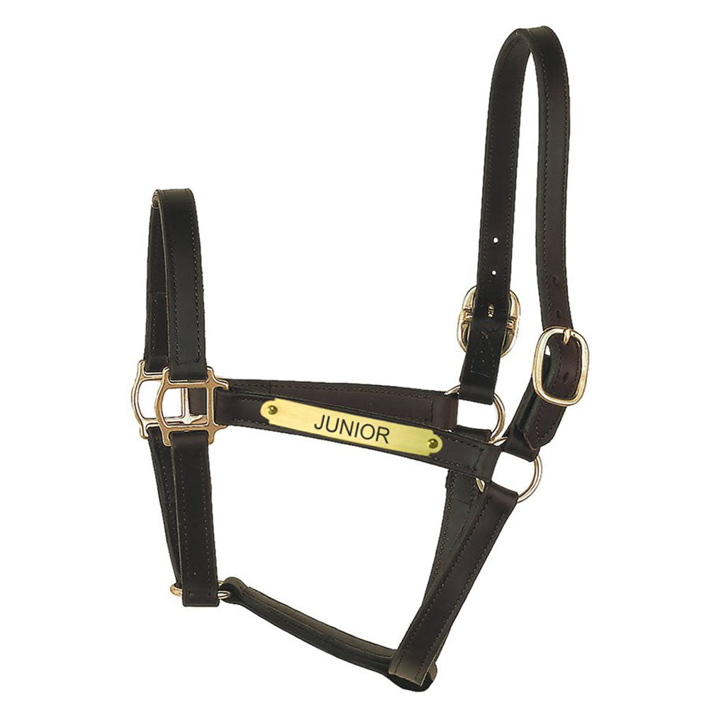 Perri’s Track Style Turnout Halter with Snap