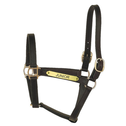Perri’s Track Style Turnout Halter with Snap