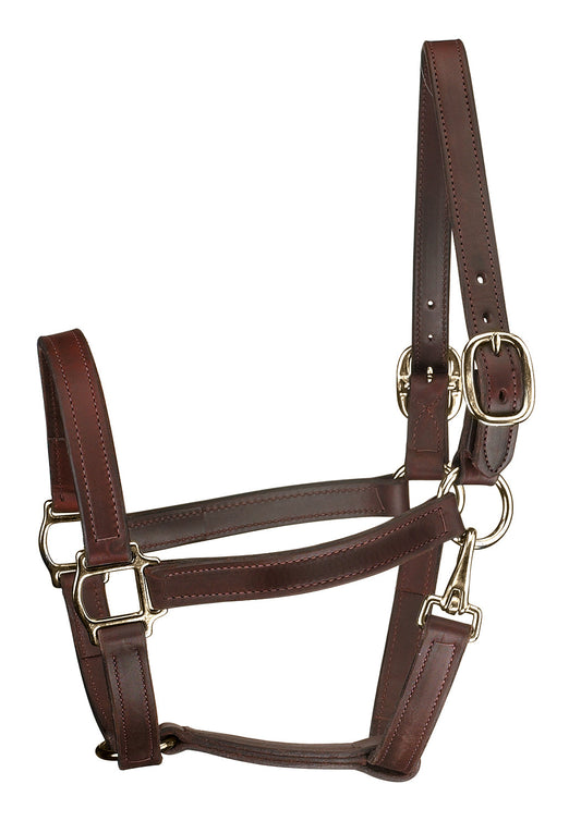 Perri’s Track Style Turnout Halter with Snap