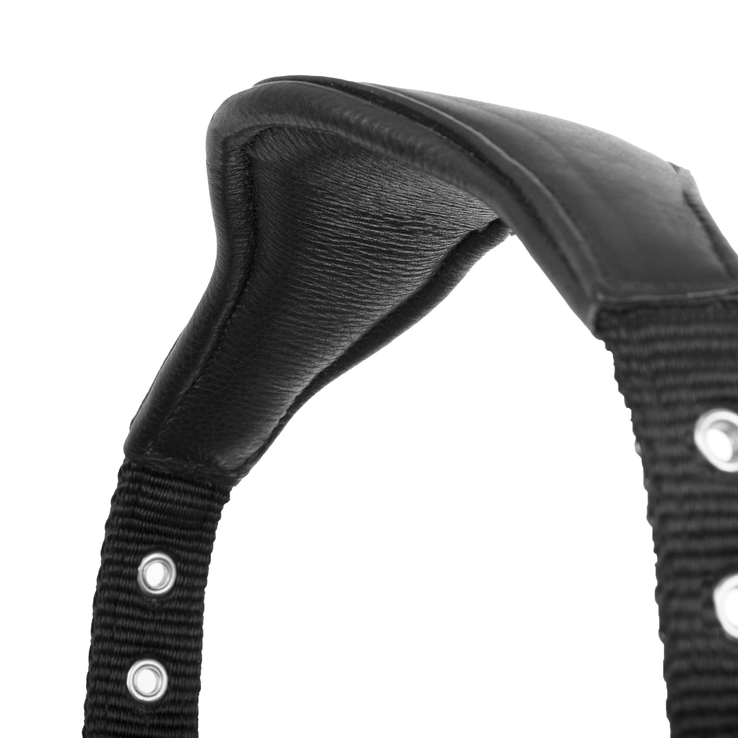 LeMieux Capella Halter