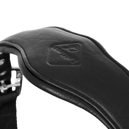 LeMieux Capella Halter