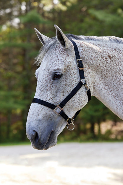 Suffolk Nylon Breakaway Halter