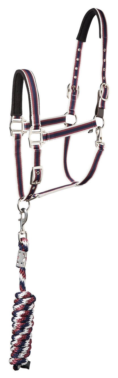 Suffolk Padded Striped Breakaway Halter & Lead