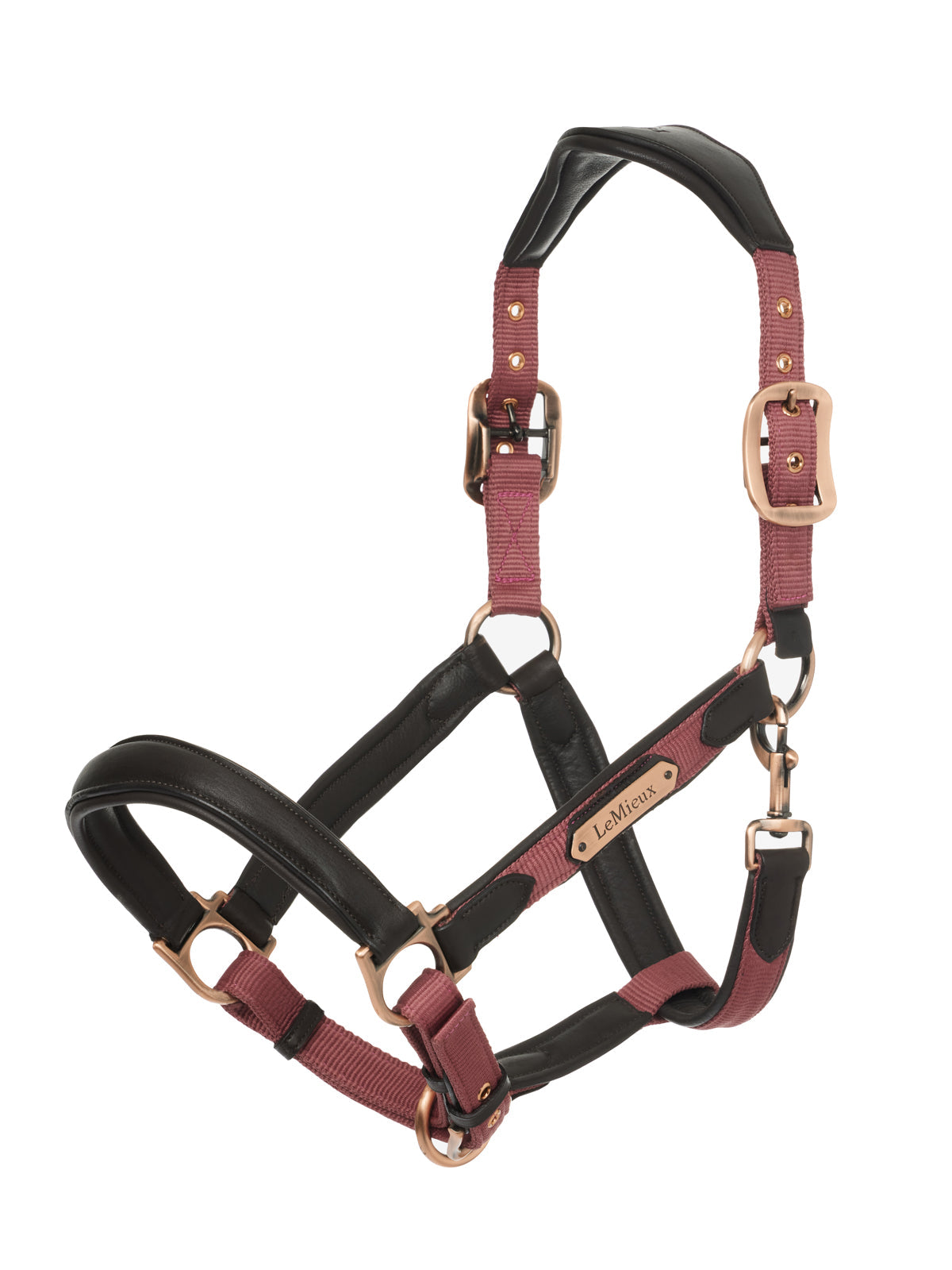 LeMieux Capella Headcollar