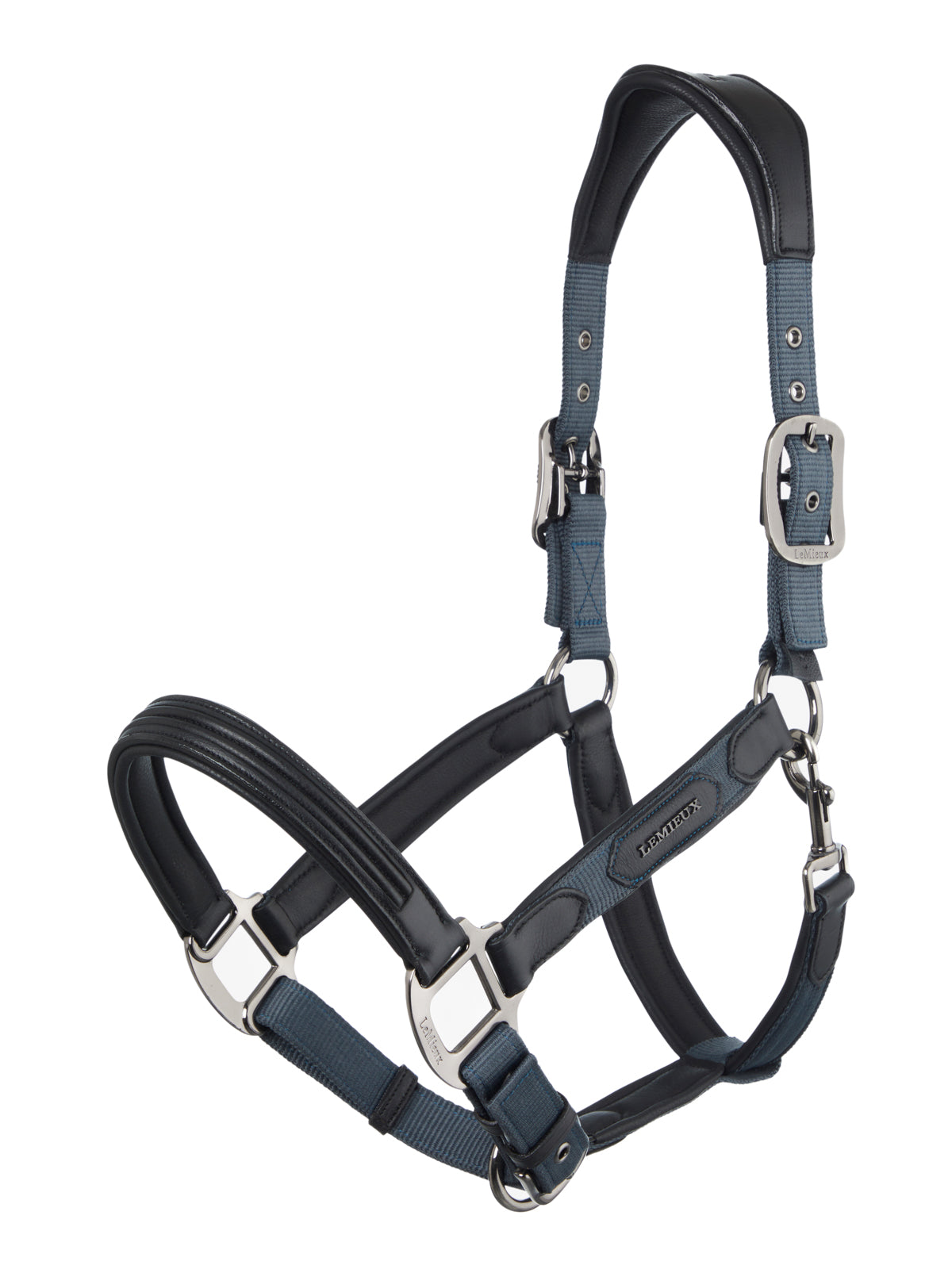 LeMieux Capella Headcollar