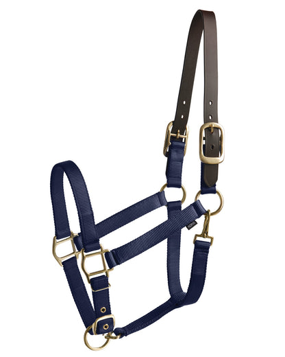Suffolk Heavy Nylon Halter with Breakaway Crown
