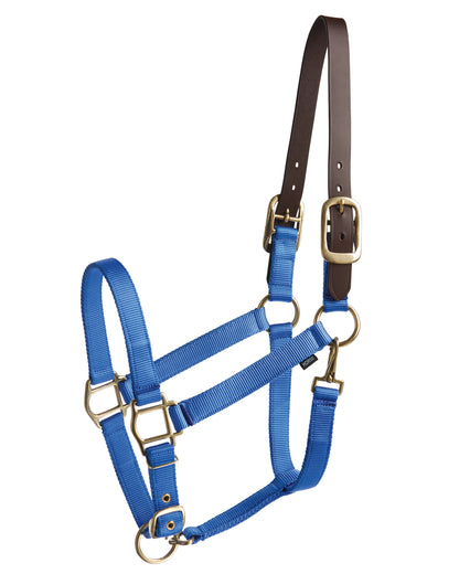 Suffolk Heavy Nylon Halter with Breakaway Crown