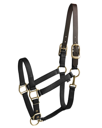 Suffolk Heavy Nylon Halter with Breakaway Crown