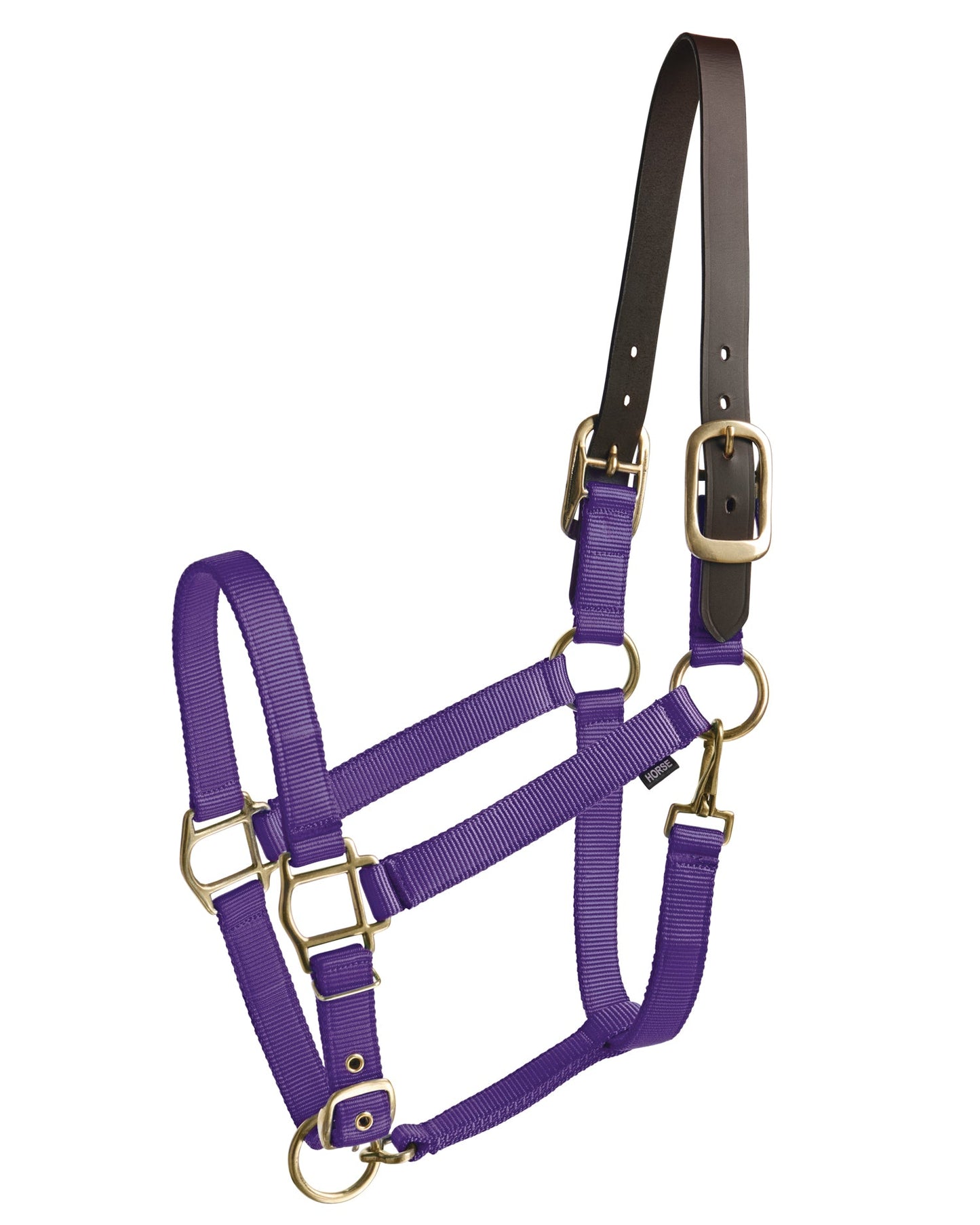 Suffolk Heavy Nylon Halter with Breakaway Crown
