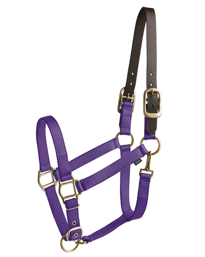 Suffolk Heavy Nylon Halter with Breakaway Crown