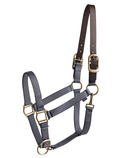 Suffolk Heavy Nylon Halter with Breakaway Crown