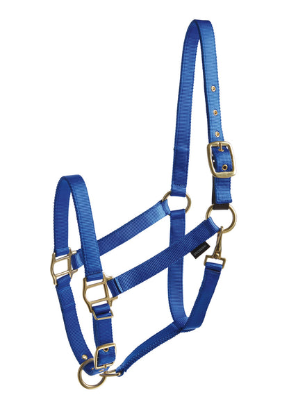 Suffolk Heavy Nylon Breakaway Halter with Fuse