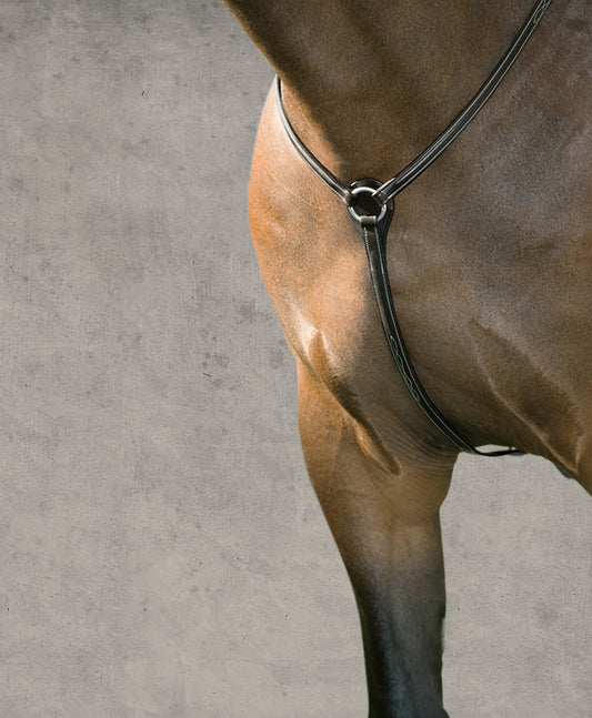 Suffolk Hunter Breastplate