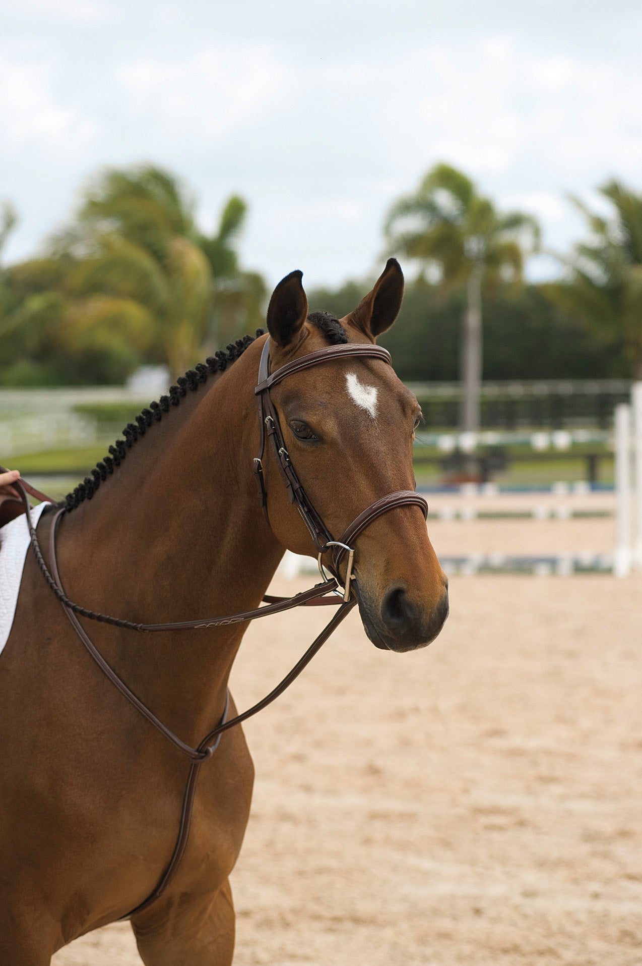 Dy'on Standing Martingale