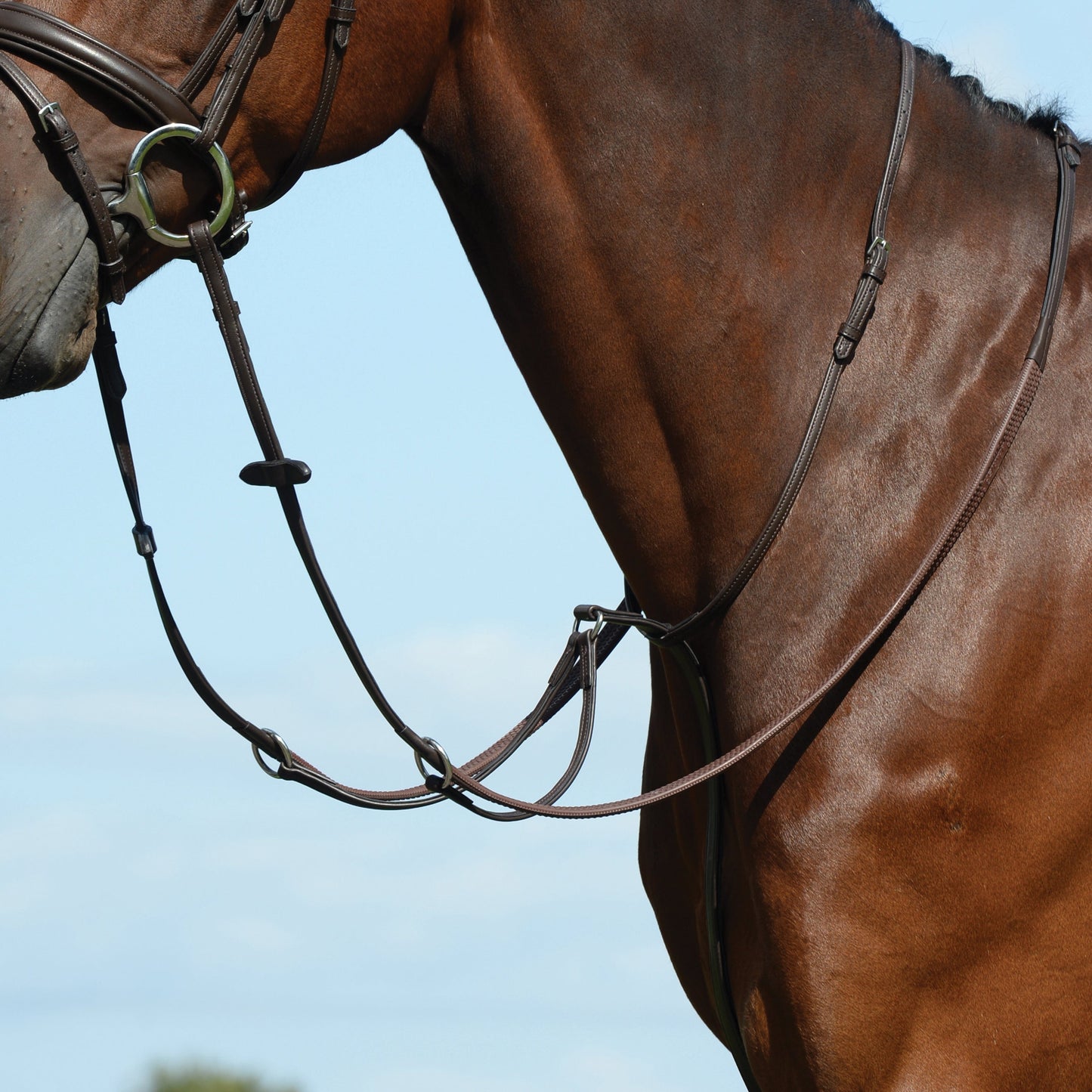 Collegiate Syntovia+ Plain Flat Running Martingale