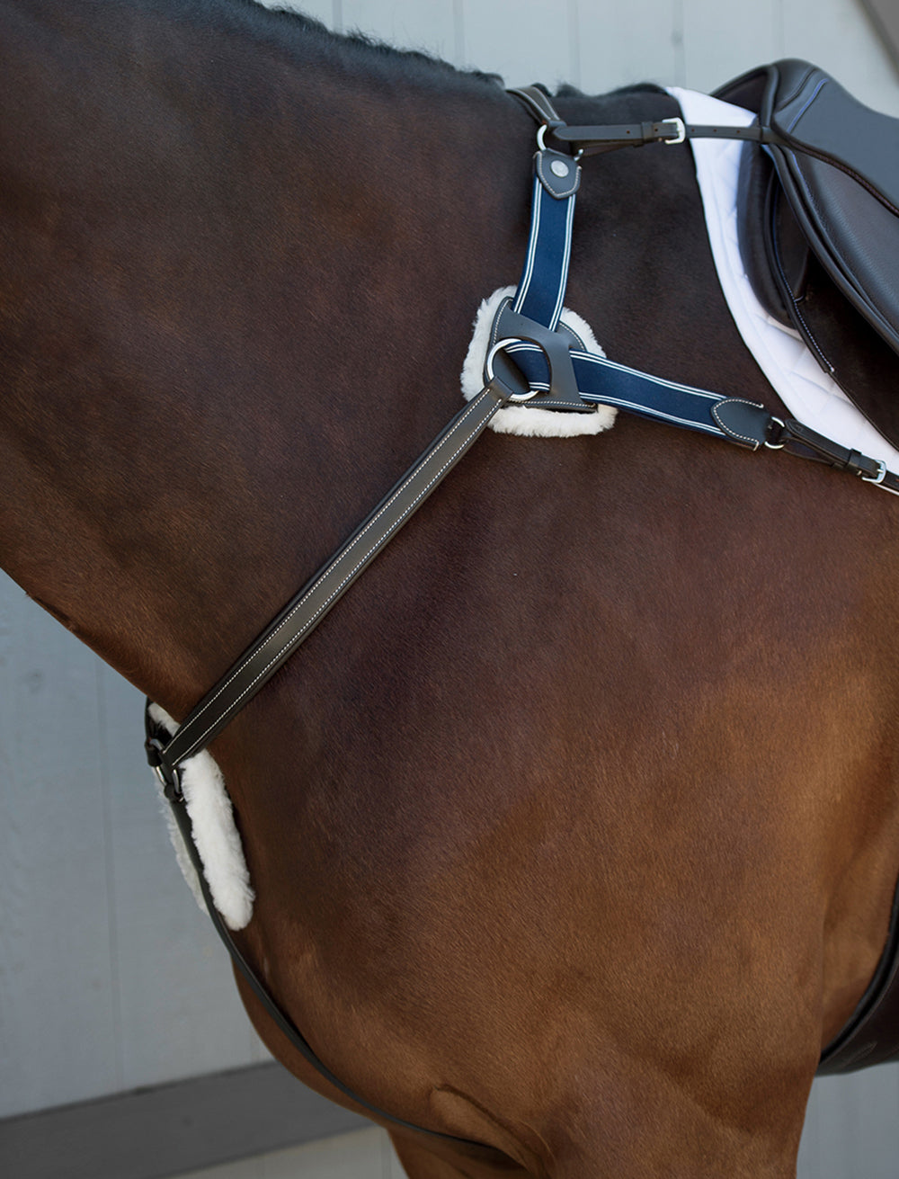 Suffolk 5-Point Breastplate