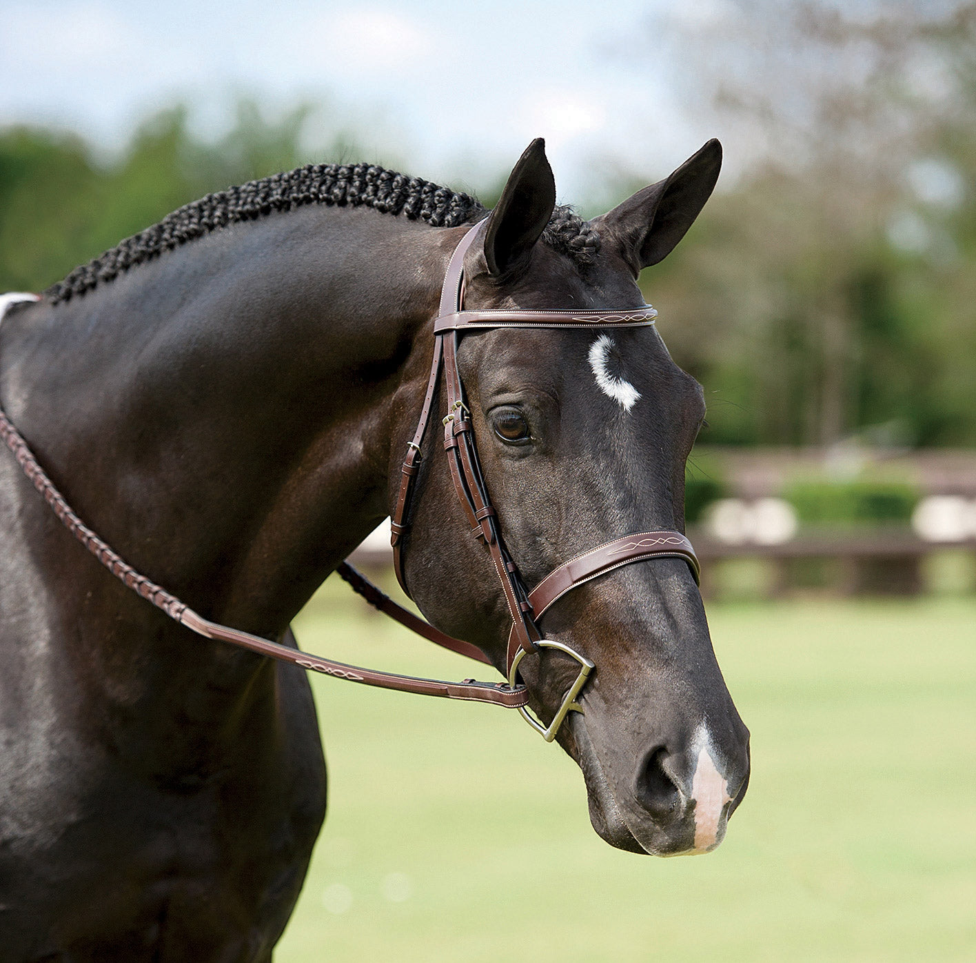 Dy'on Wide Nose Hunter Bridle