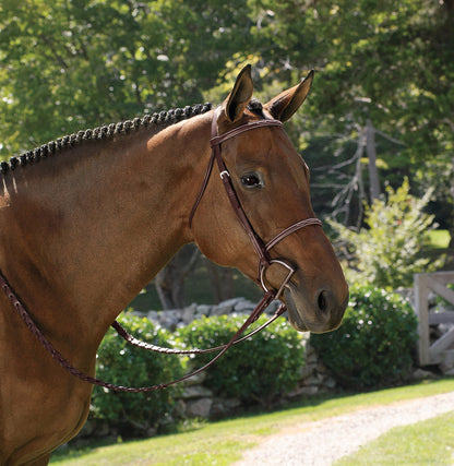 Suffolk Classic Hunter Bridle