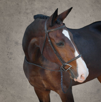 Suffolk Classic Hunter Bridle