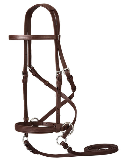 Dr. Cook's Beta BitlessBridle