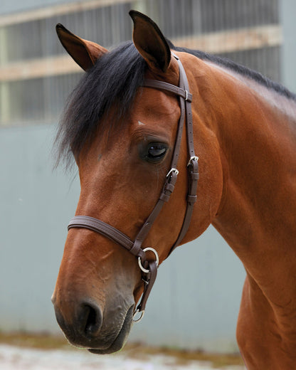 Dr. Cook's Beta BitlessBridle
