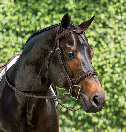 Suffolk Single Crown Hunter Bridle