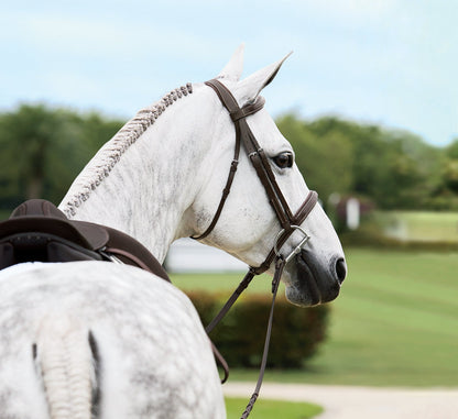 Suffolk Single Crown Hunter Bridle