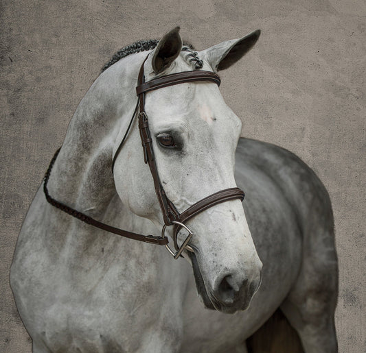 Suffolk Single Crown Hunter Bridle