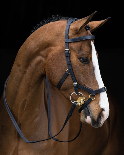 The Rambo Micklem Original Multibridle