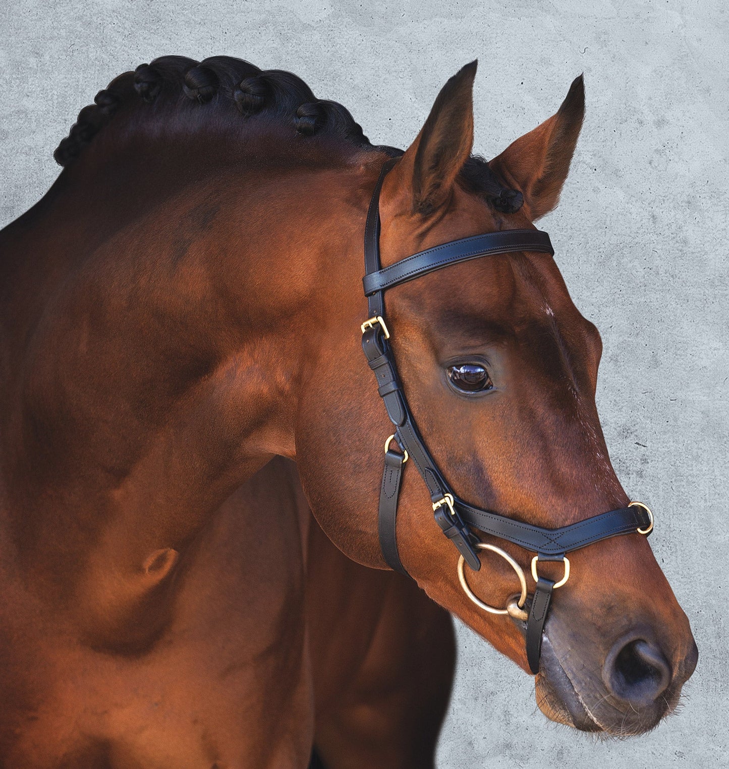 The Rambo Micklem Original Multibridle