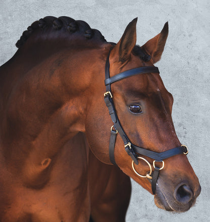 The Rambo Micklem Original Multibridle