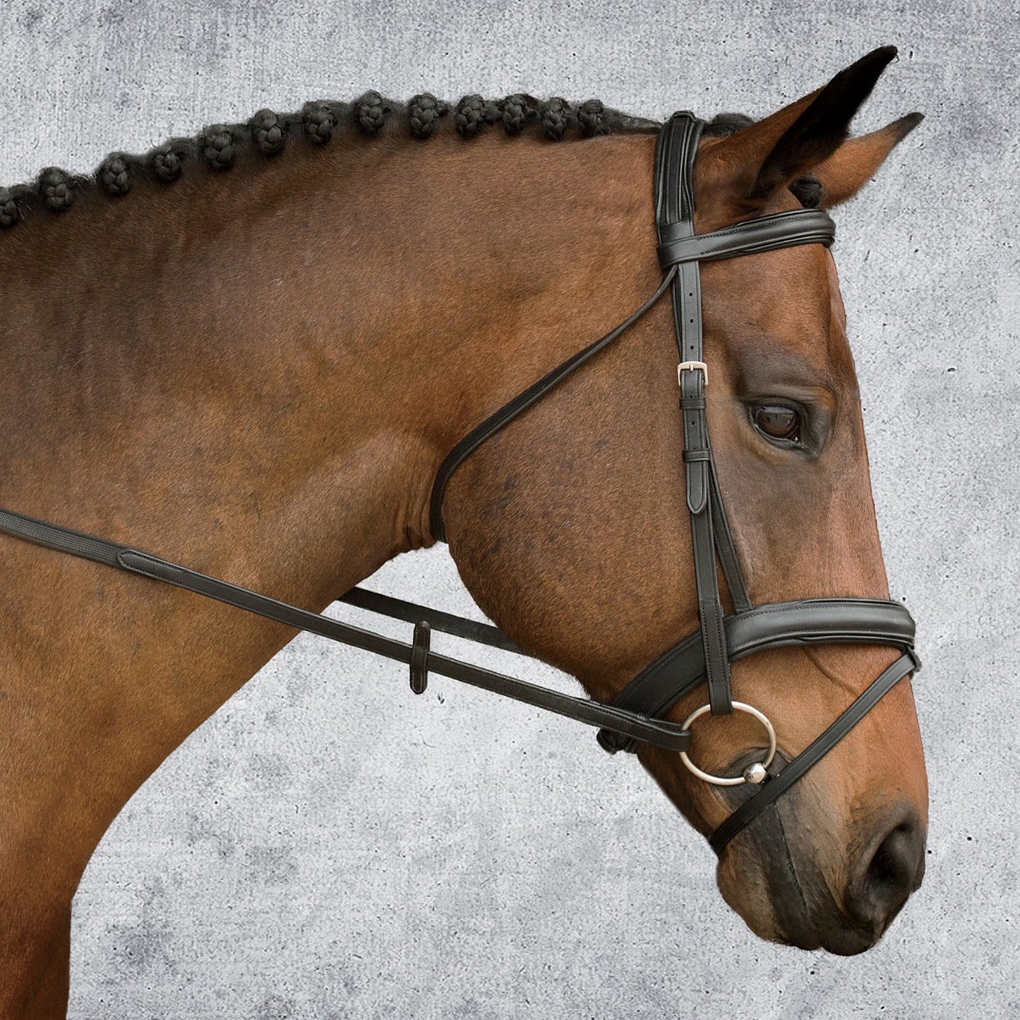 Suffolk Single Crown Padded Dressage Bridle