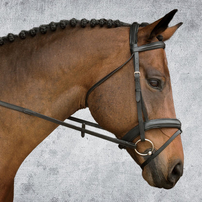 Suffolk Single Crown Padded Dressage Bridle