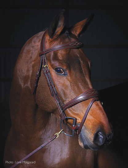 Dy'on Anatomic Bridle