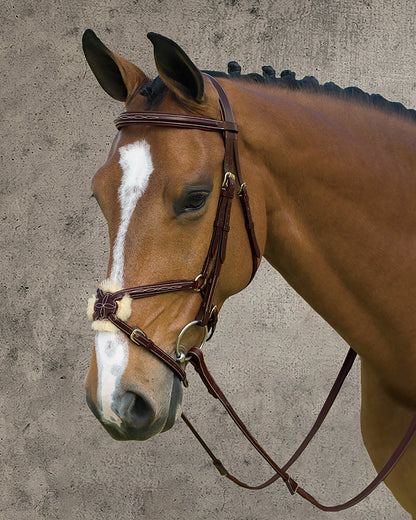 Dy'on Figure-8 Bridle