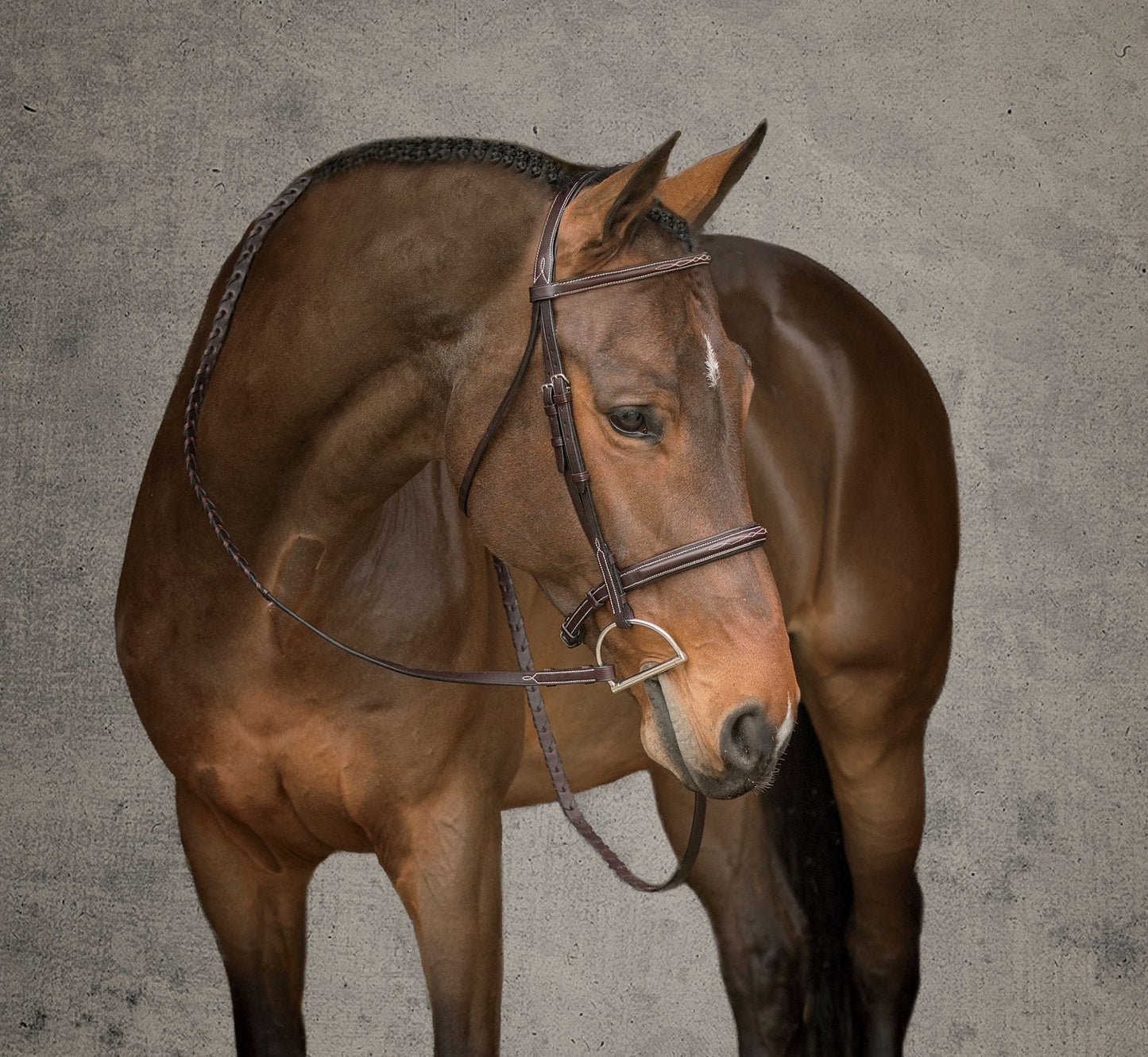 Showmark Premier Hunter Bridle