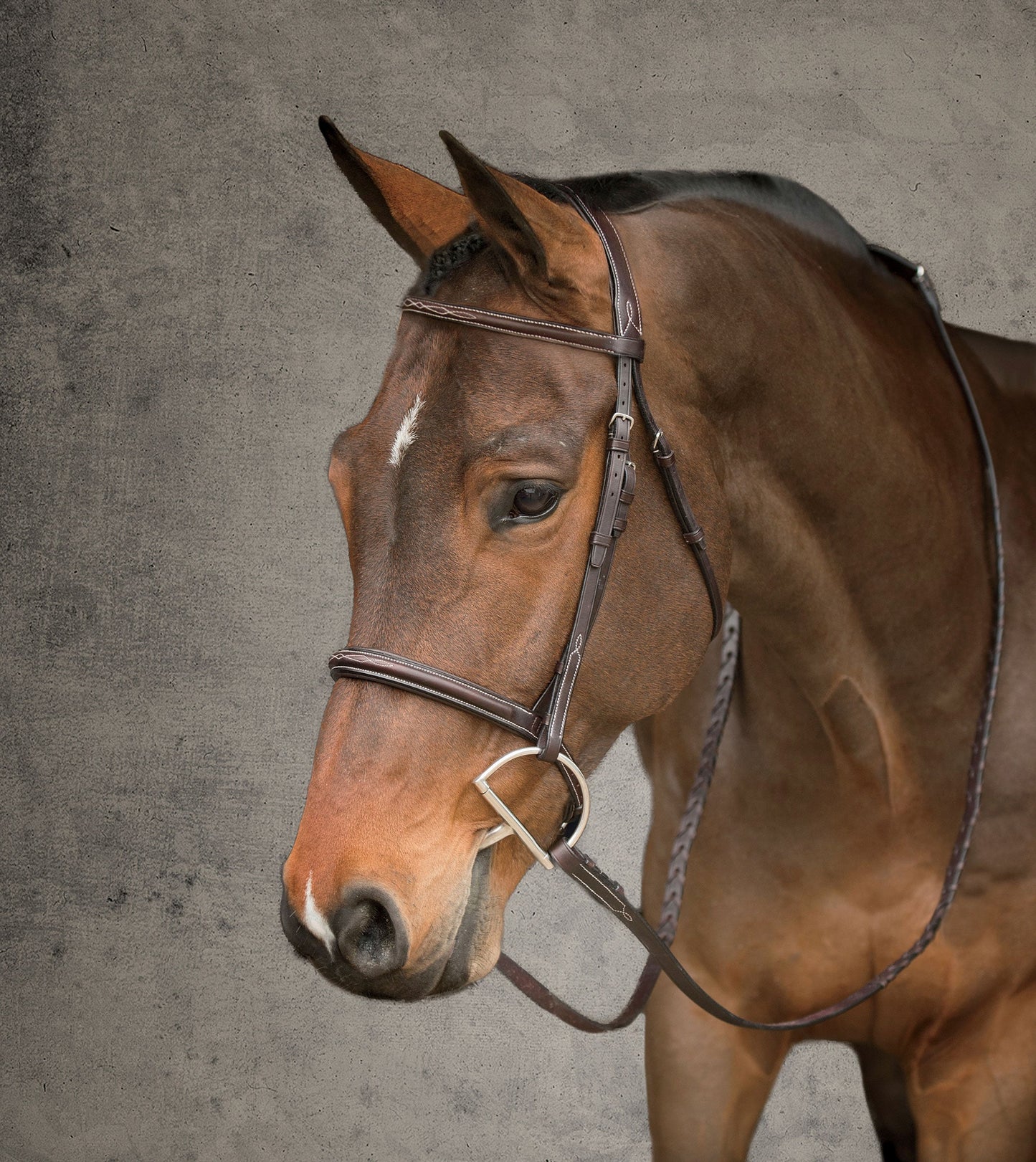 Showmark Premier Hunter Bridle
