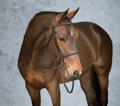 Showmark Premier Hunter Bridle