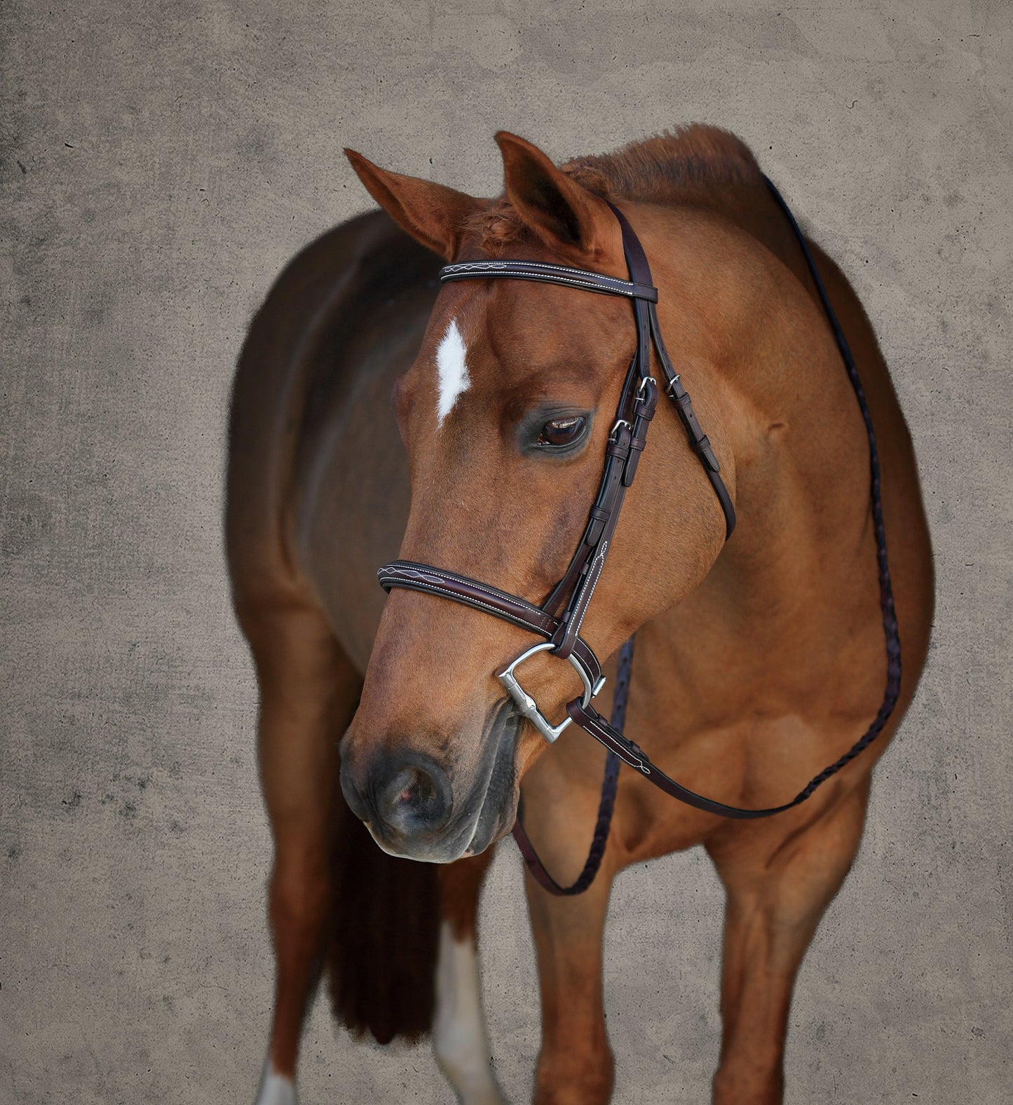 Showmark Premier Padded Pony Hunter Bridle