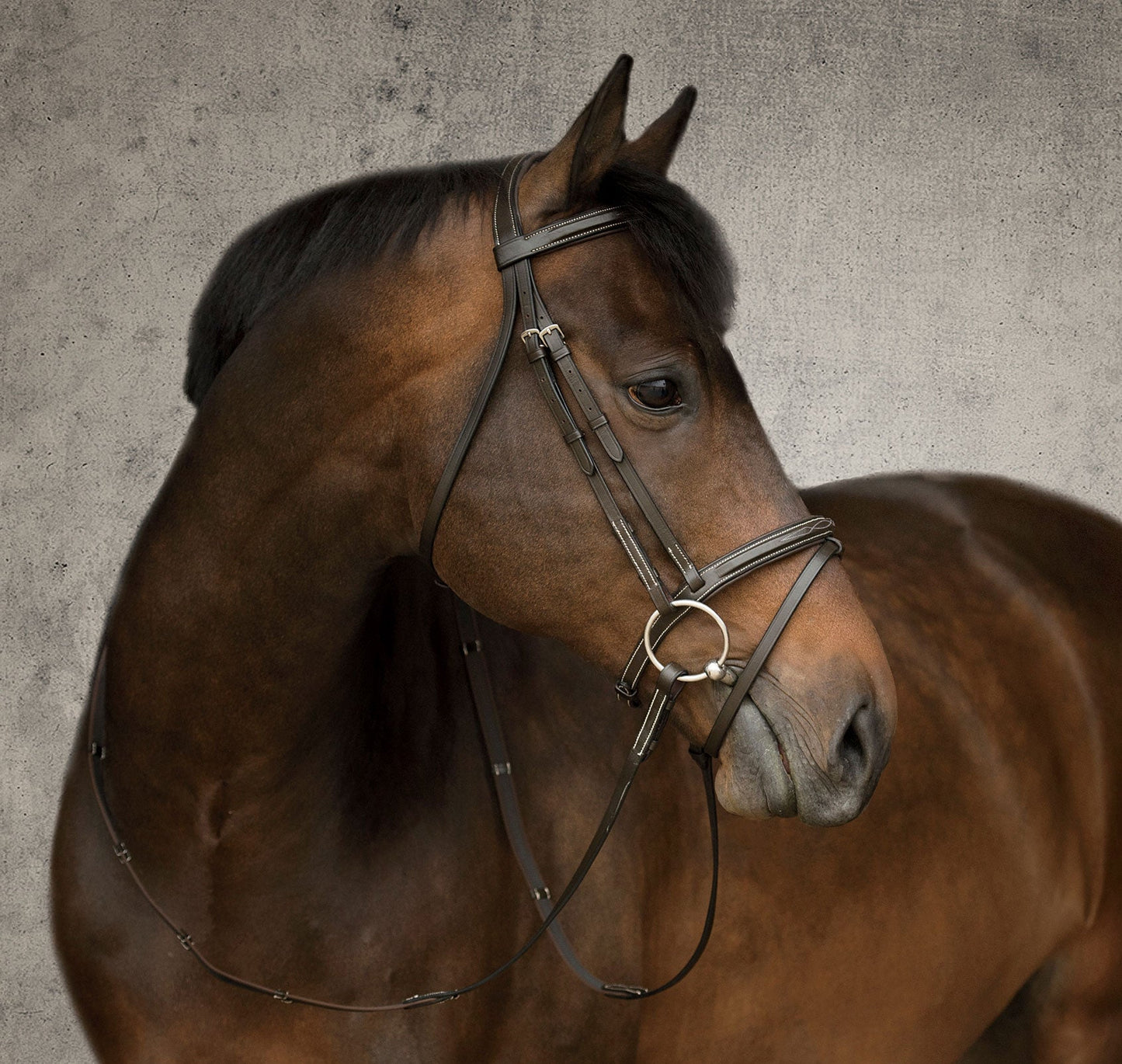 Suffolk Single Crown Flash Bridle