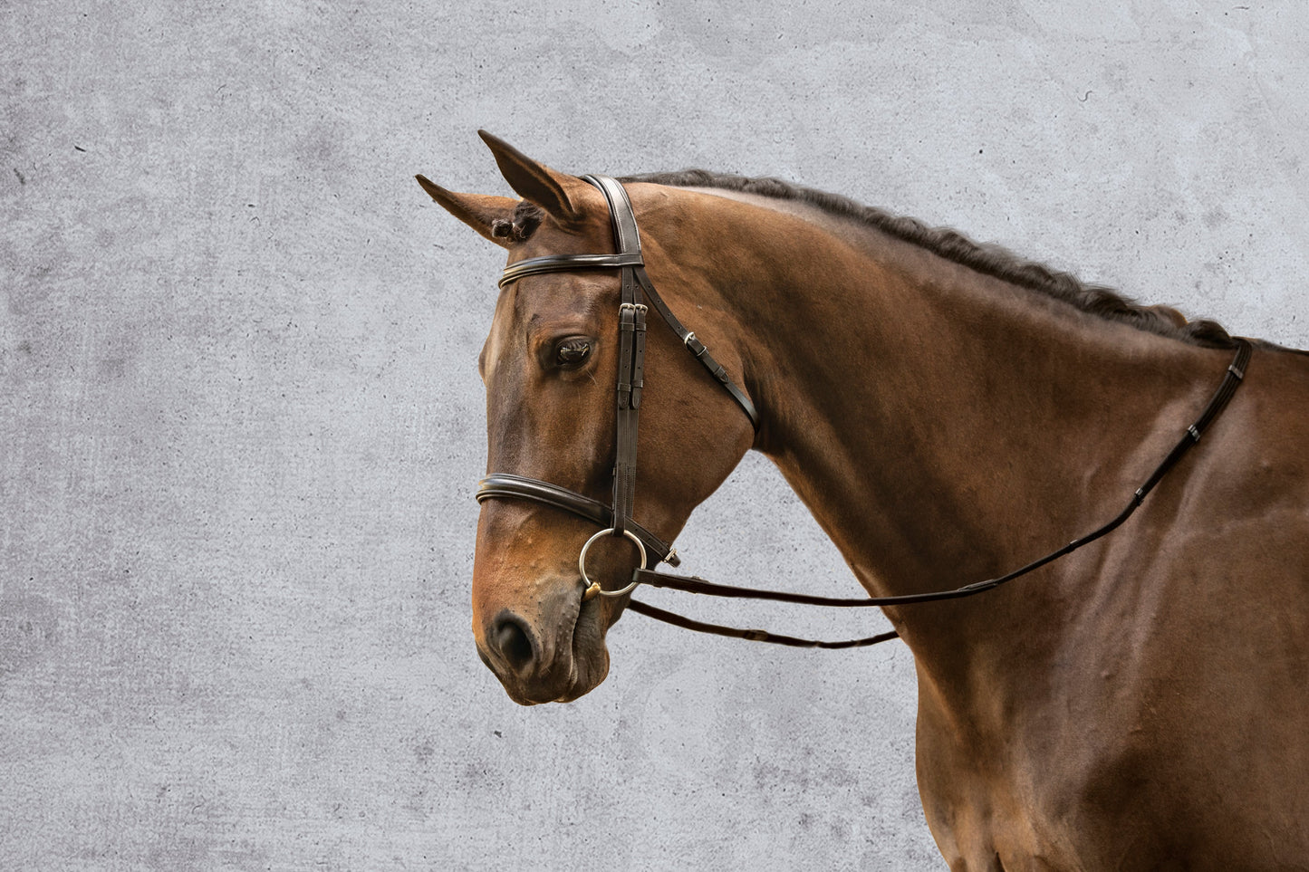 Suffolk Single Crown Classic Dressage Bridle