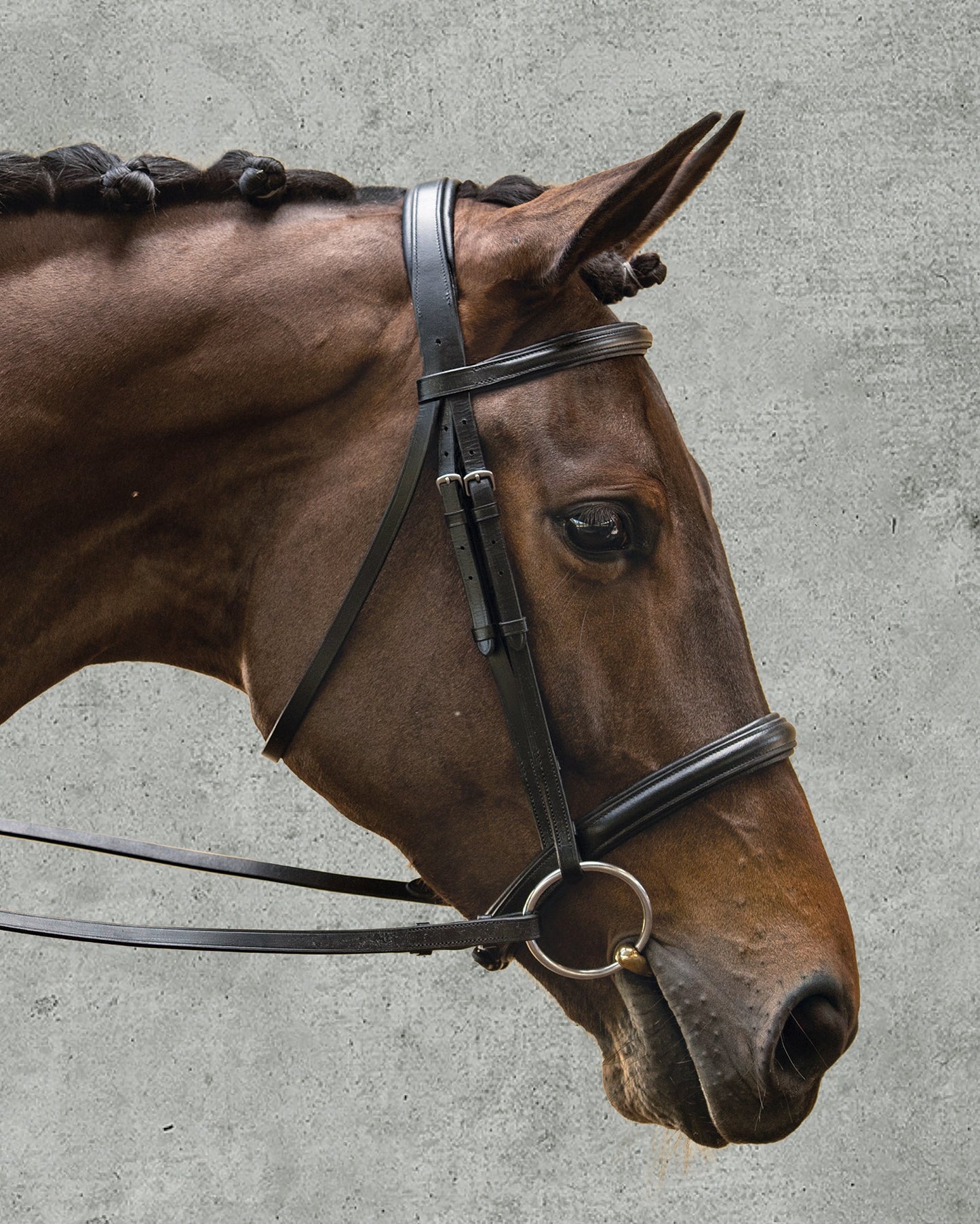 Suffolk Single Crown Classic Dressage Bridle